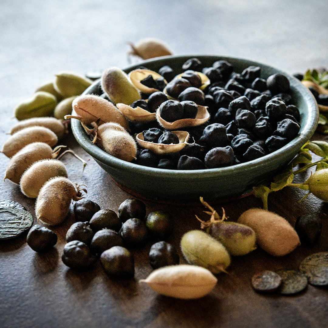 A backlit bowl of Kabouli Black Garbanzo Beans on a brown background.