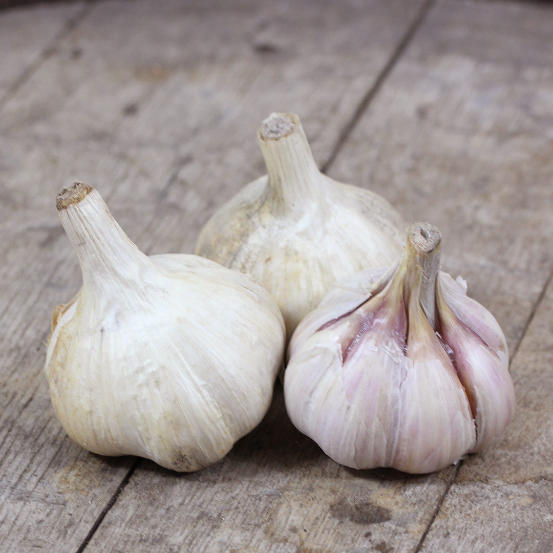 Garlic, Chesnok Red (4 bulbs)