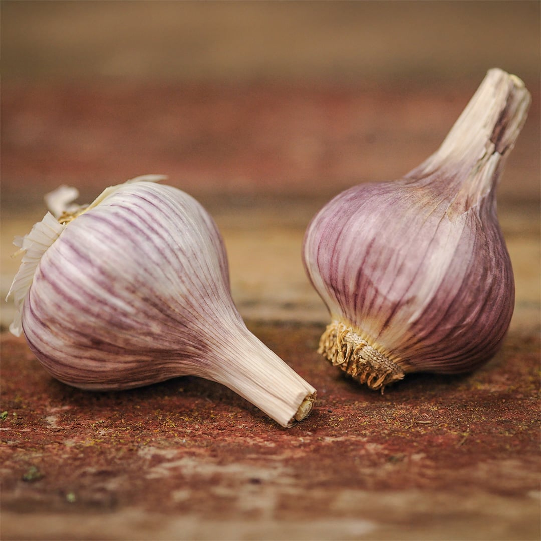 Garlic, Chesnok Red (4 bulbs)