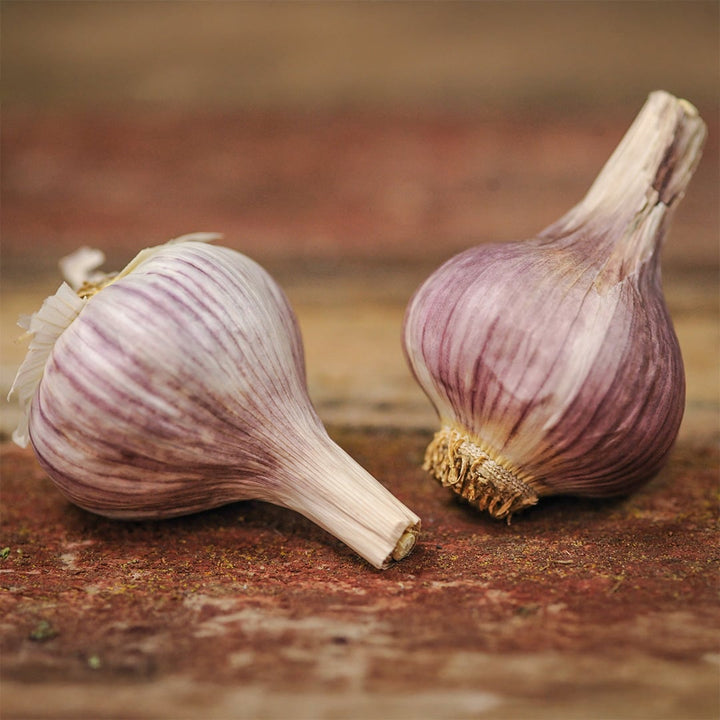 Garlic, Chesnok Red (4 bulbs)