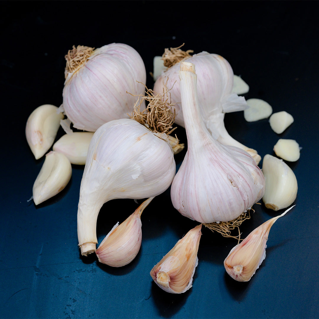 Garlic, Chesnok Red (4 bulbs)