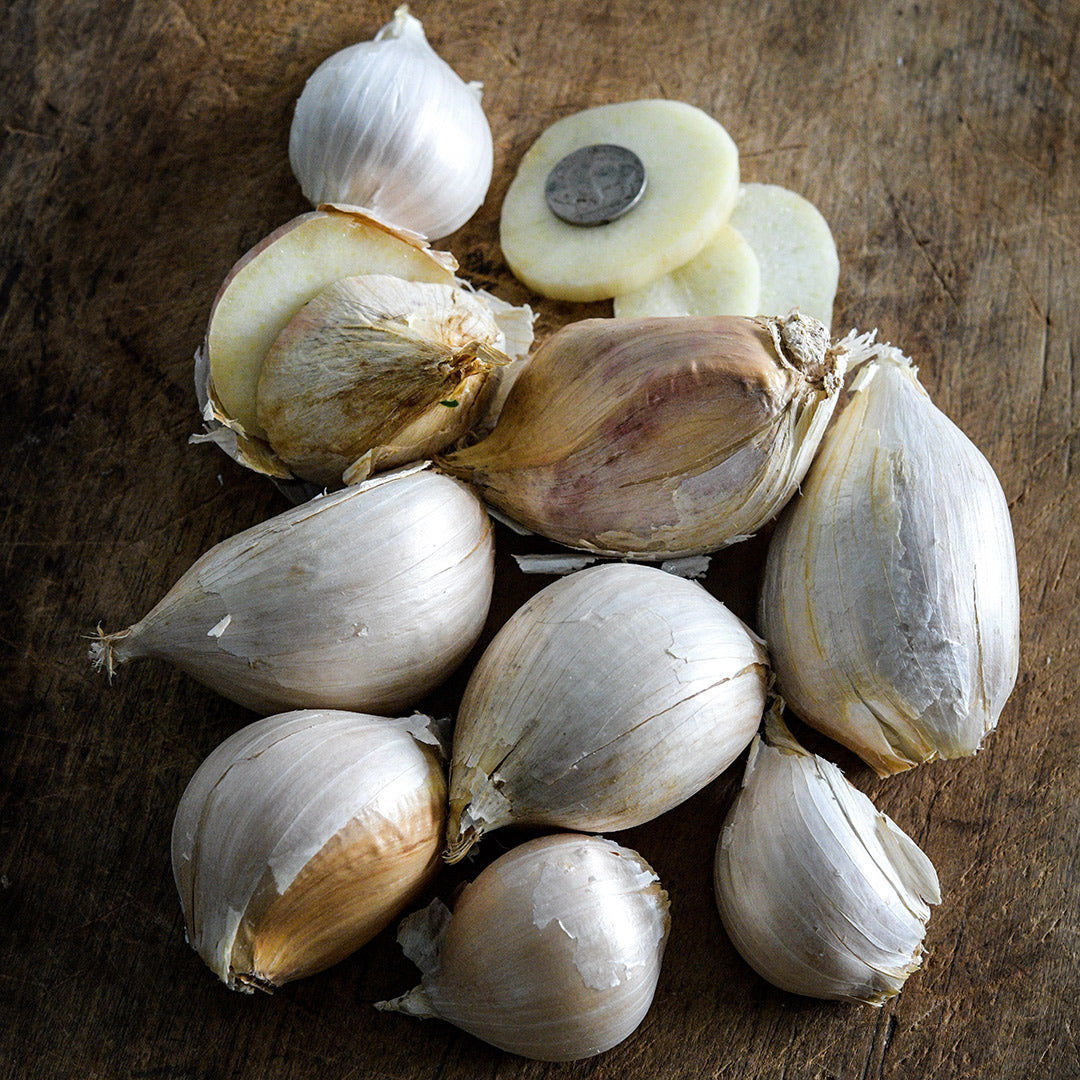 A cluster of sliced and whole giant Elephant Garlic cloves with a coin to show size on a wooden cutting board.