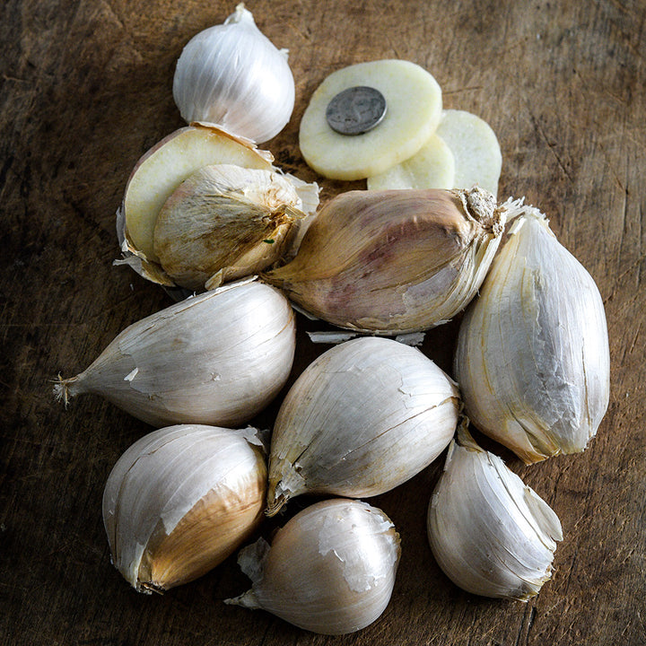 A cluster of sliced and whole giant Elephant Garlic cloves with a coin to show size on a wooden cutting board.