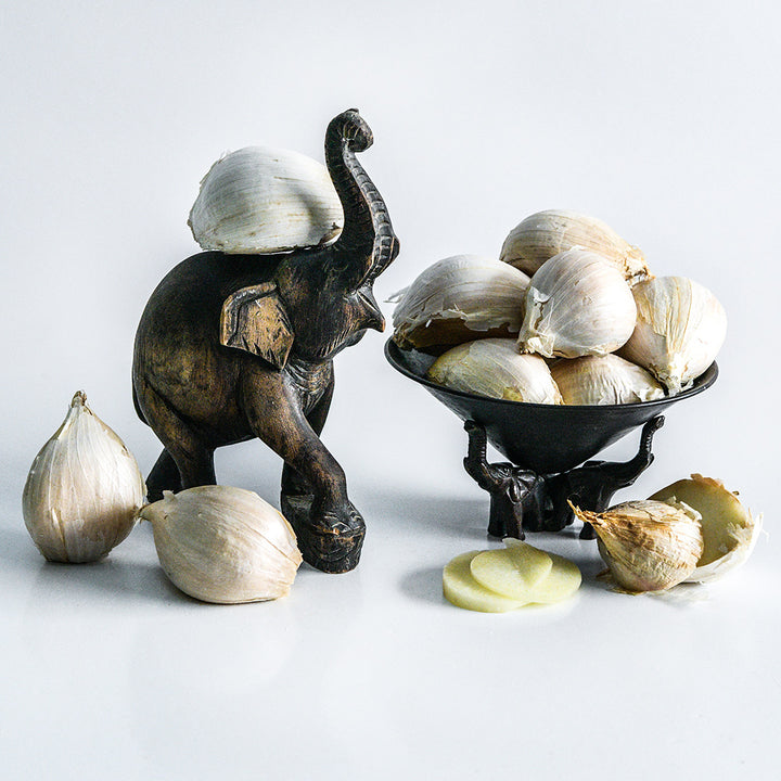 A wooden elephant and bowl surrounded by large Elephant Garlic cloves on a light background.