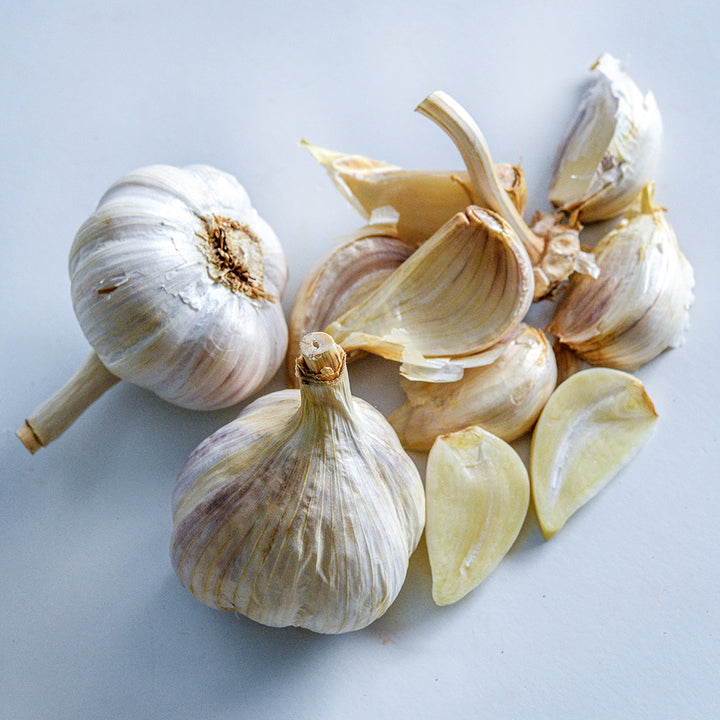 German Extra Hardy Garlic bulbs and cloves on light background.