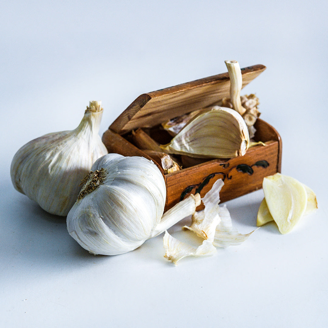 German Extra Hardy Garlic bulbs and cloves arranged around a wooden box from Germany.