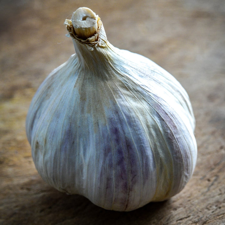 A single German Extra Hardy Garlic bulb on wooden background.