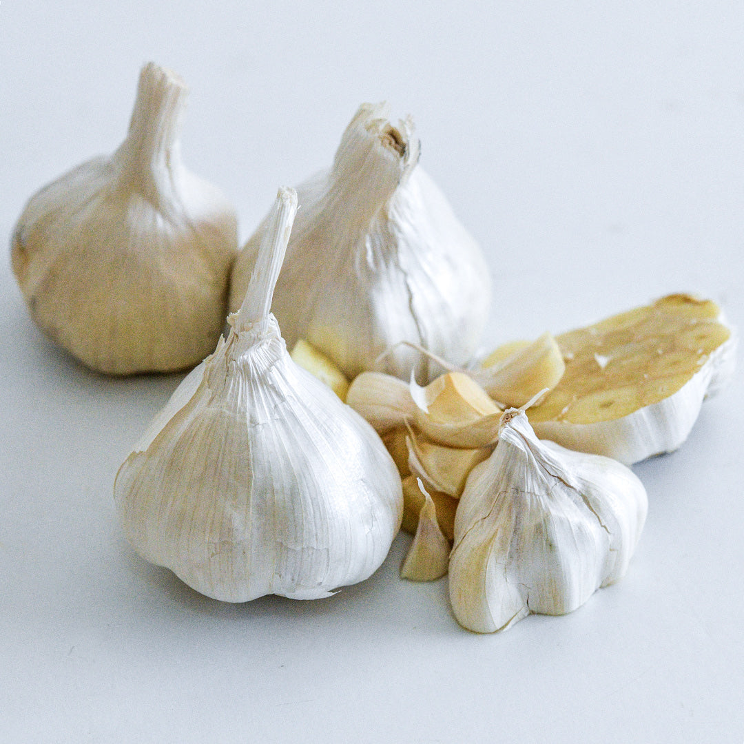 Whole and cut Inchelium Red Garlic bulbs and cloves on a white background.