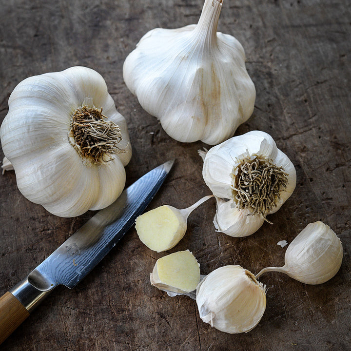 An overhead view of Inchelium Red Garlic bulbs and cloves on wood with a knife.