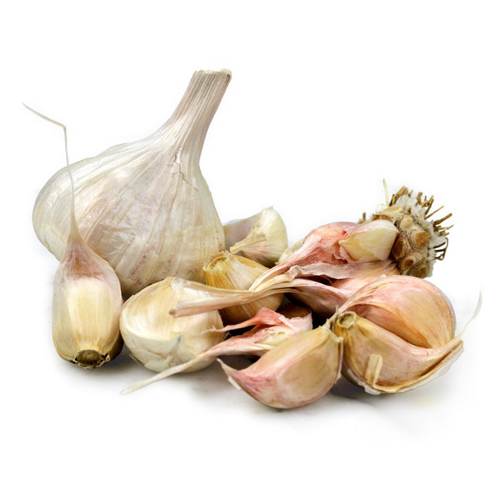 Garlic Bulbs, Inchelium Red (4 bulbs)