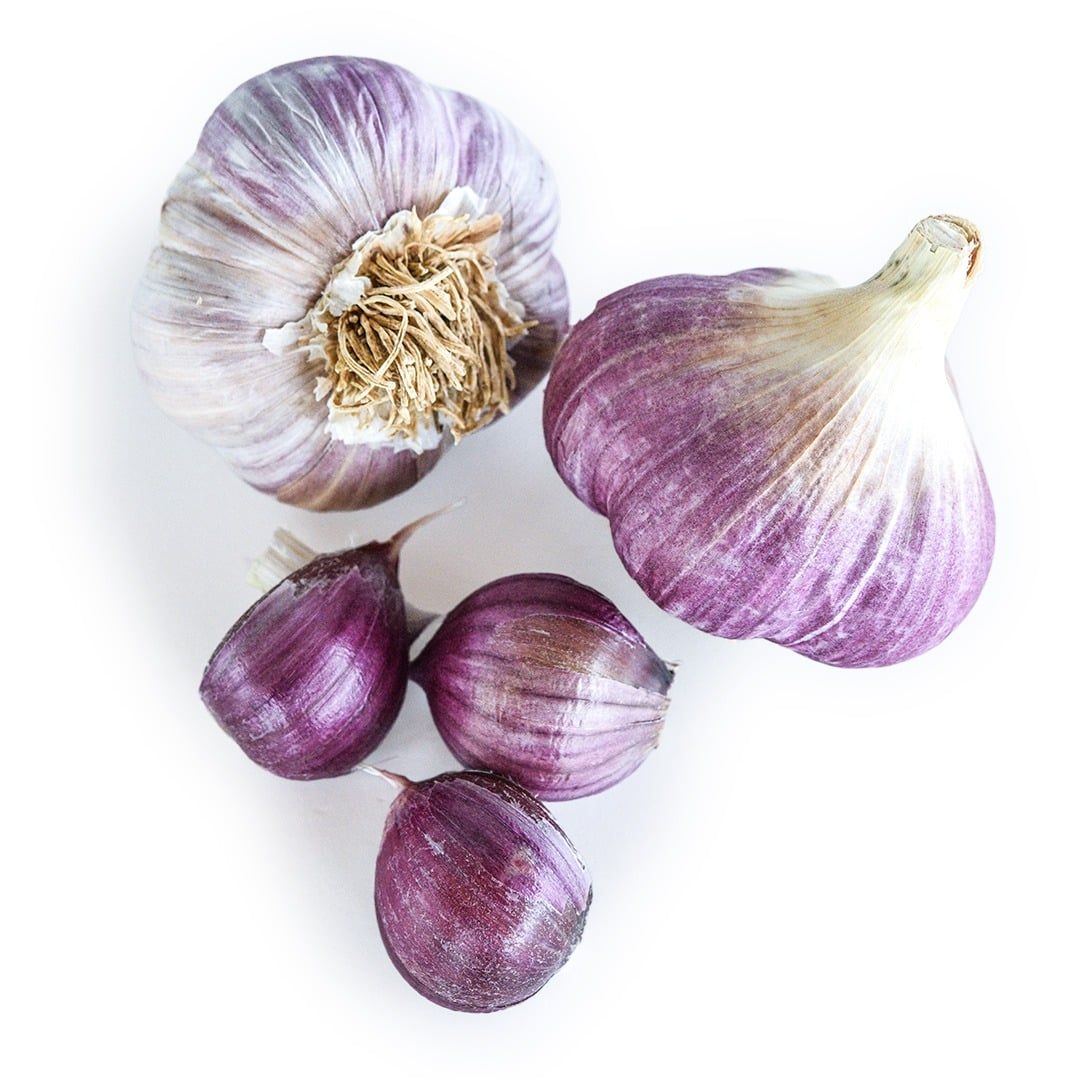 Garlic Bulbs, Music (4 bulbs)