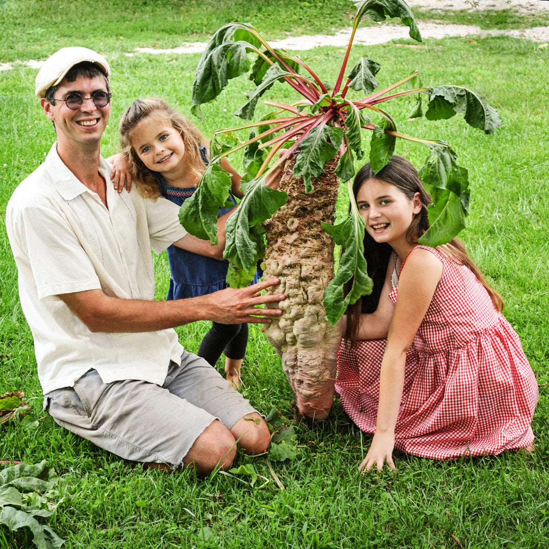 A gardener and his two daughters holding up a huge Mammoth Red Mangel Beet on grass.