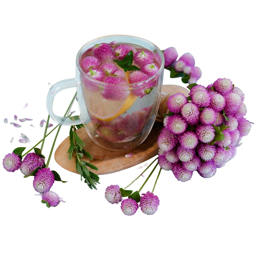 Gomphrena tea with a bouquet of Atomic Purple Gomphrena on a wood plate on a white background.