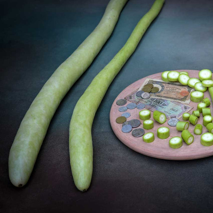 Two whole Serpente di Sicilia or Cucuzzi Gourds and slices on a pottery wheel next to the gourds.