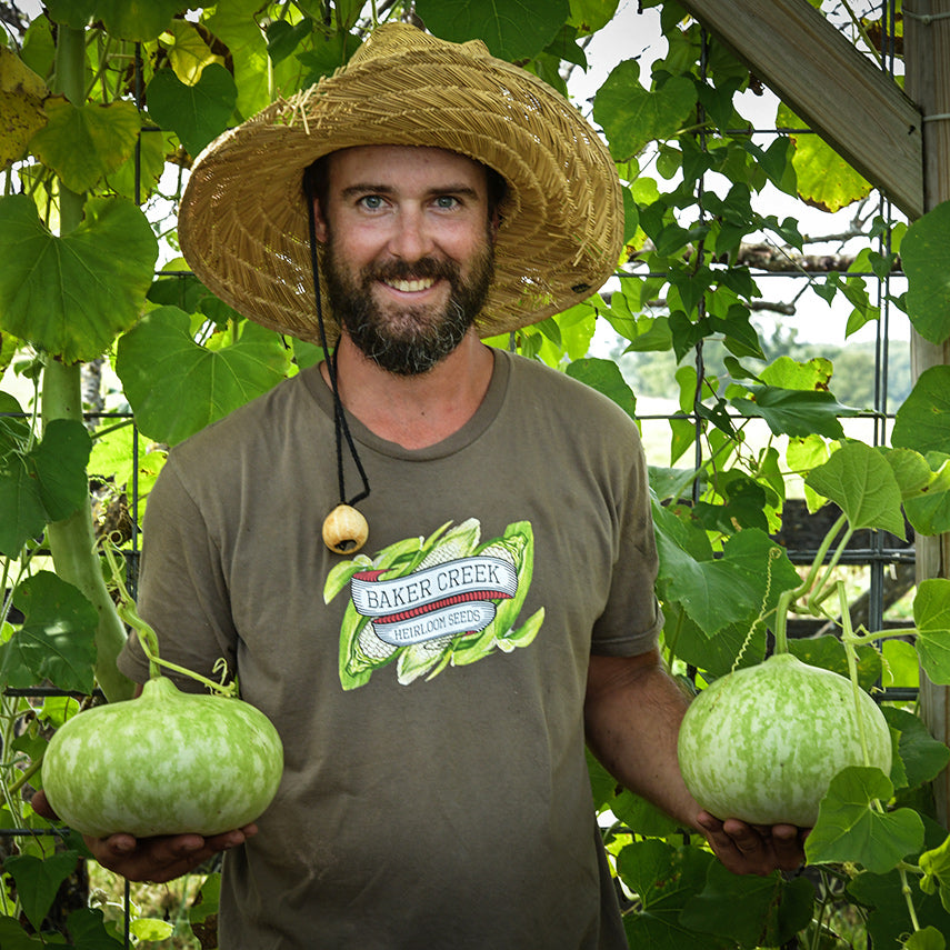 One of the Baker Creek garden crew shows off some Peru Sugar Bowl Gourds in the gourd tunnel.
