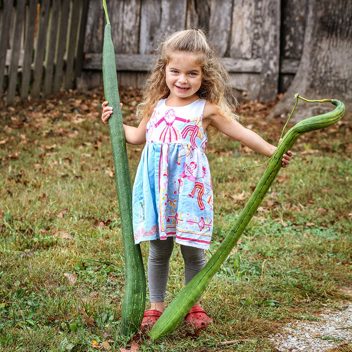 A little girl smiles as she holds a couple of Thai Extra Long Sponge Gourds in front of a weathered wooden fence.