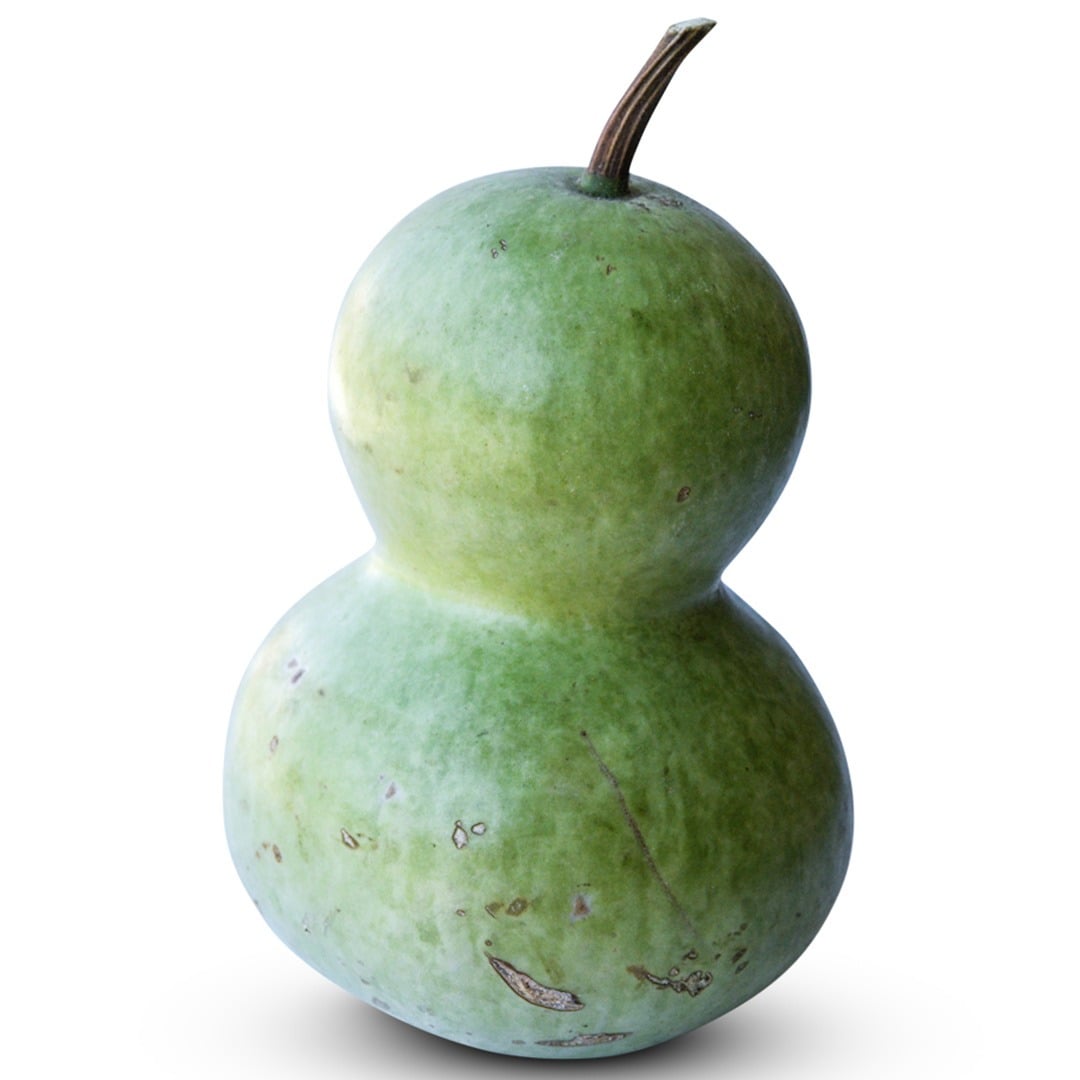Birdhouse Gourd on a white background.