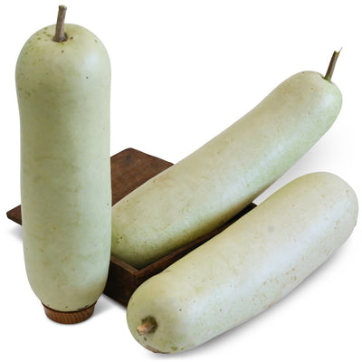Gourd Seeds, Giant Bello