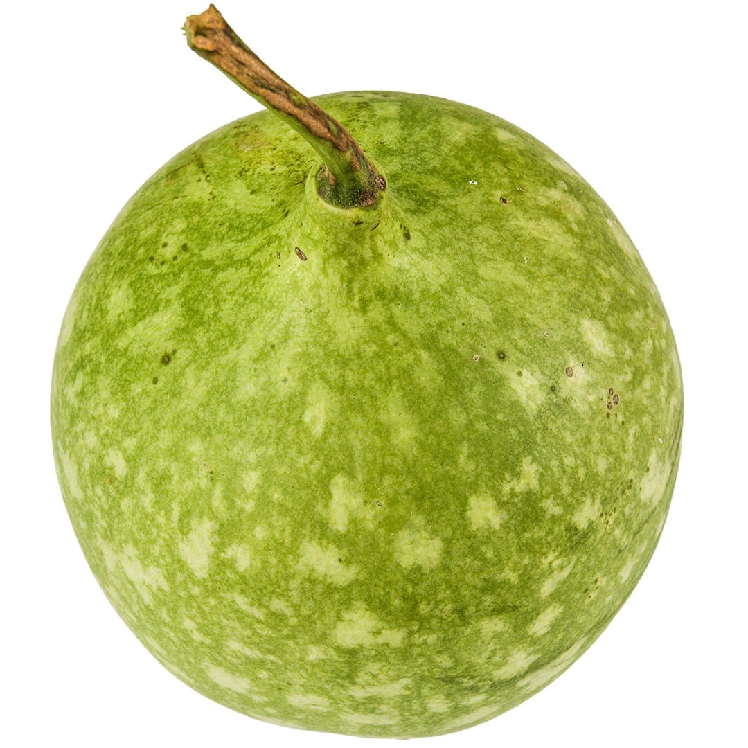 Peru Sugar Bowl Gourd on a white background.