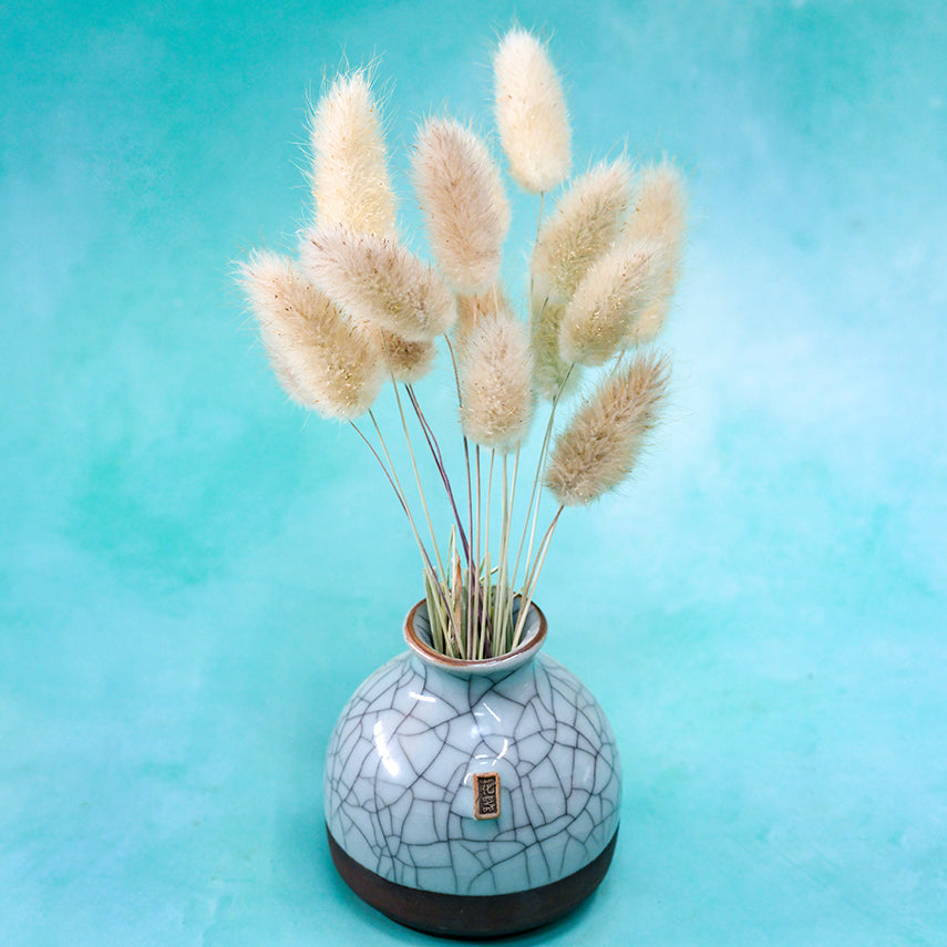 Bunny Tails Grass in a crackled vase on light blue background.