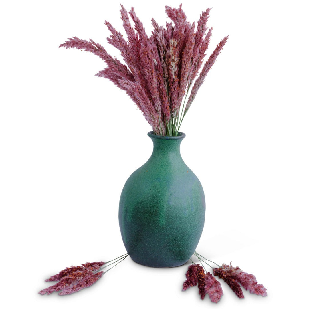 Savannah Grass in a blue ceramic vase on a white background