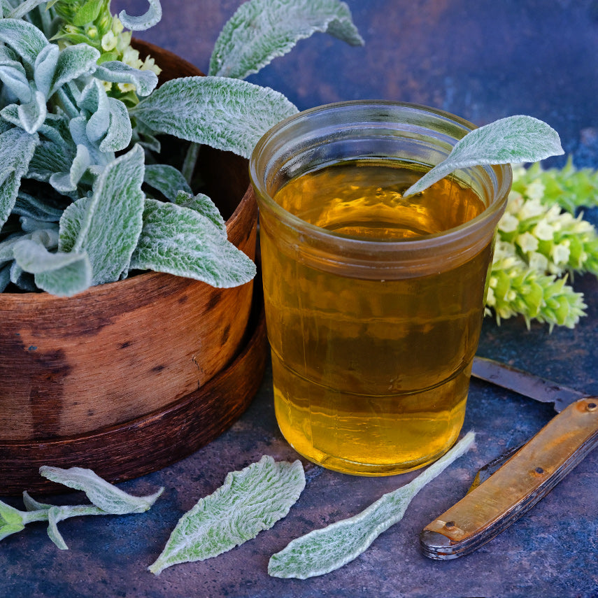A refreshing glass of tea made from Greek Mountain Tea Mint with fresh leaves.