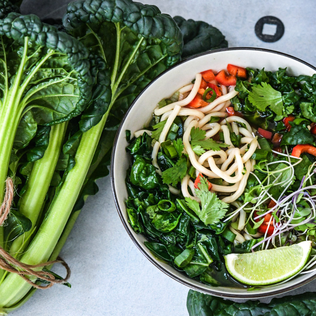 A bowl of Chijimisai Pho soup with a head of Chijimisai on a light background.