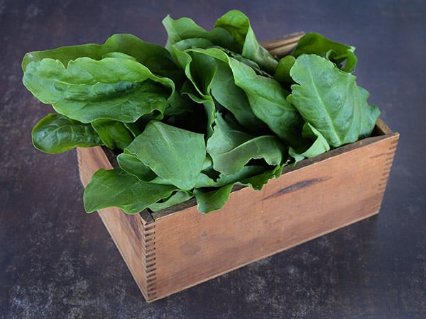 Sorrel Seeds, Green De Belleville