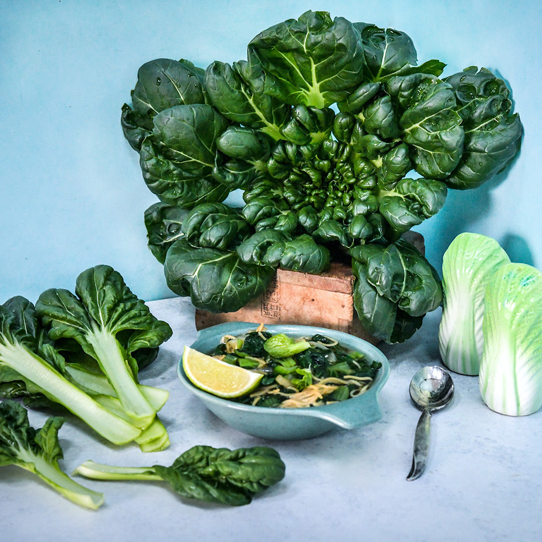 Tatsoi soup with leaves and head of tatsoi on a blue background.