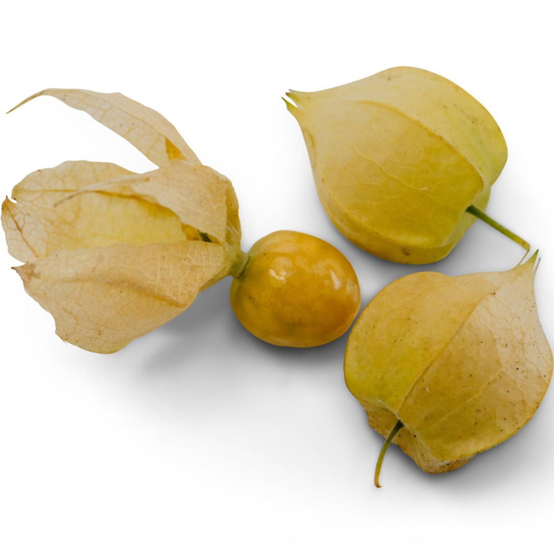 Mary's Niagara Ground Cherries on a white background.