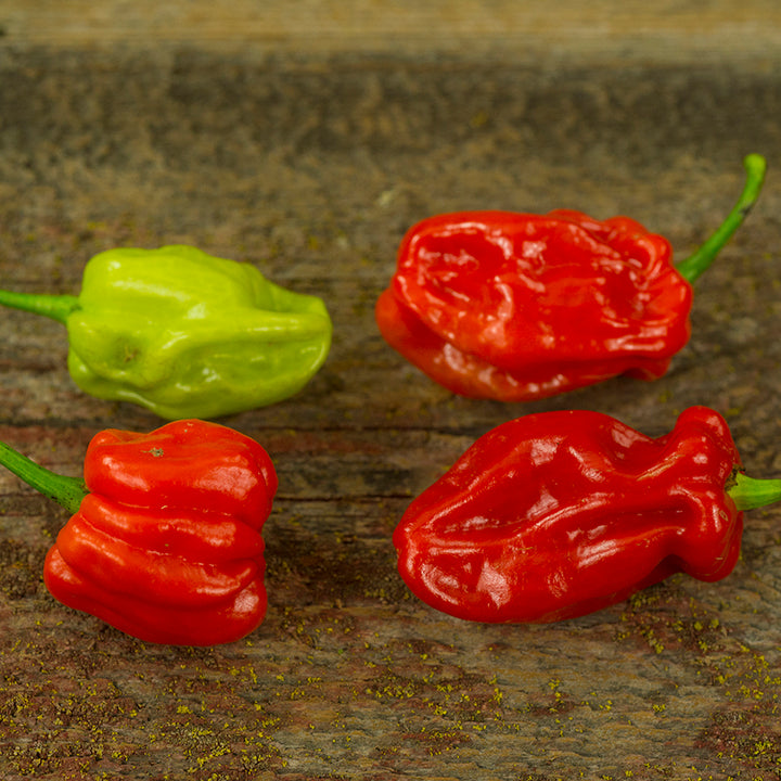 Four Tobago Seasoning Peppers on wooden tabletop.