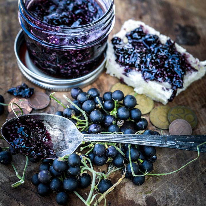 Schwartzenbeeren berry jam and a cluster of Schwartzenbeeren berries off to the side.