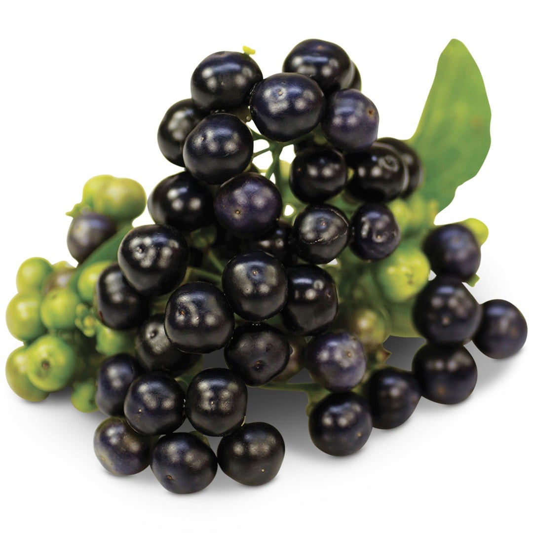 Huckleberry Garden Berries on a white background.