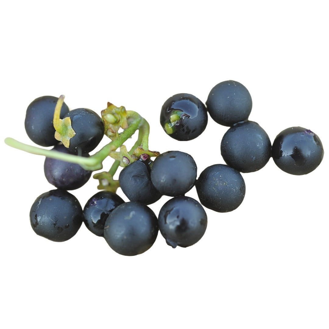 Schwartzenbeeren Huckleberries on a white background.