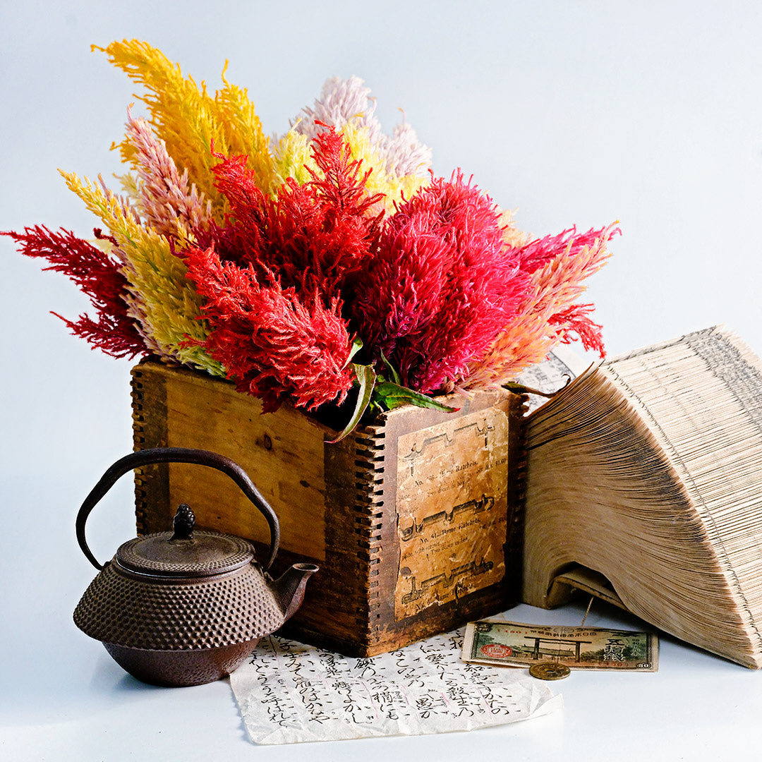 Autumn Glow Mix Celosia with authentic props from Japan on a light background.