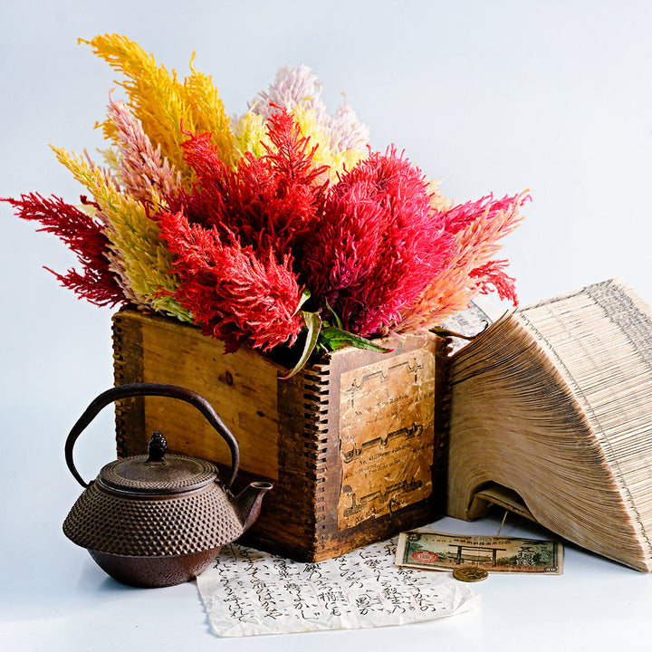 Autumn Glow Mix Celosia with authentic props from Japan on a light background.