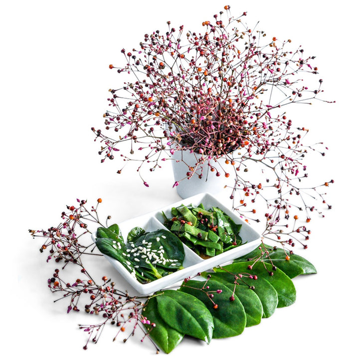 Jewels of Opar arranged in a vase with edible leaves and a salad on white background.