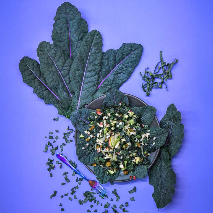Dazzling Blue Kale leaves alongside a plate of salad made with kale.