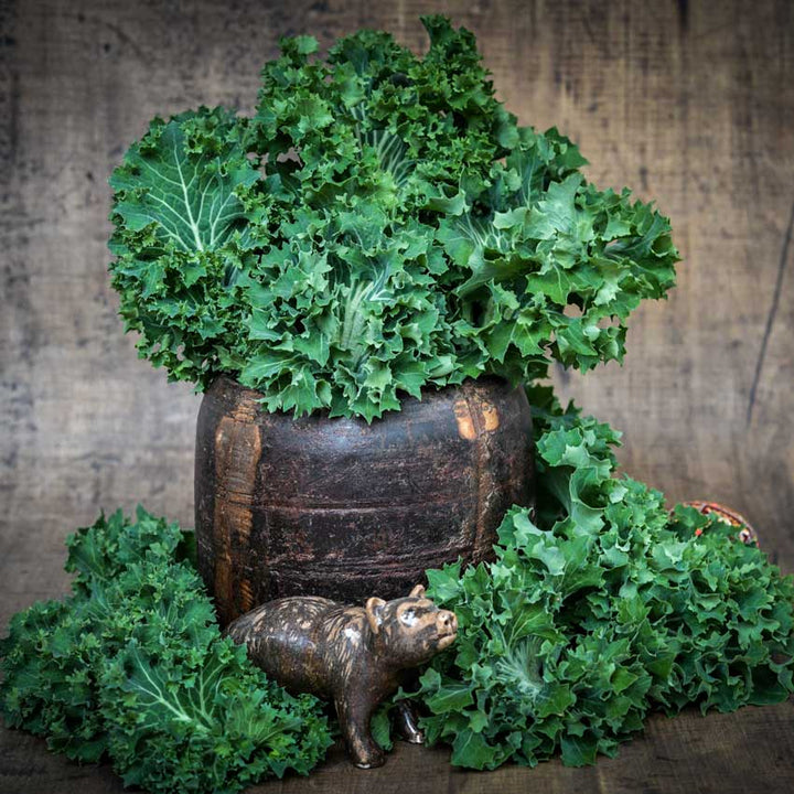 Dwarf Siberian Kale in a wooden vase with a wooden background.