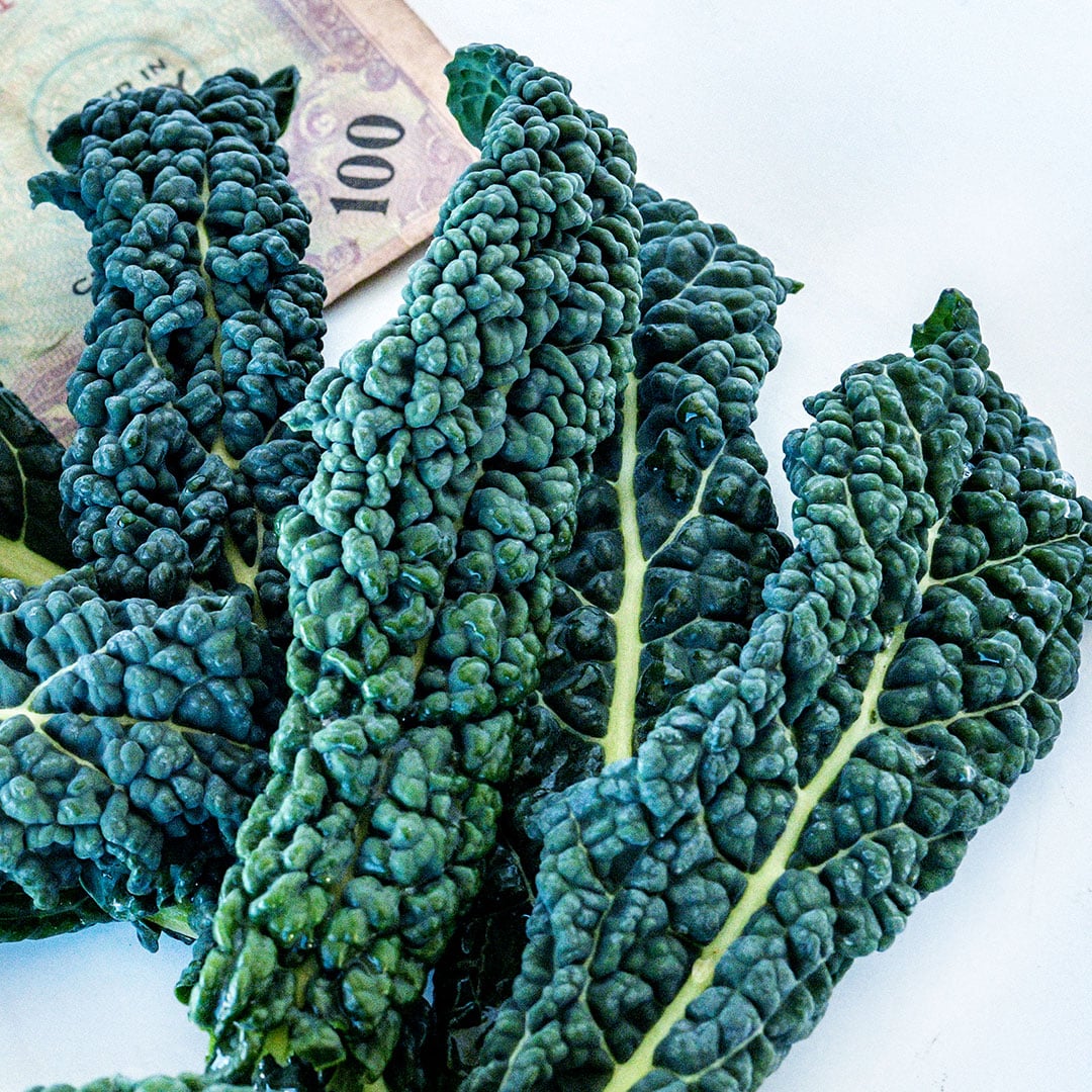 A close-up of Nero Di Toscana Kale with Italian money.
