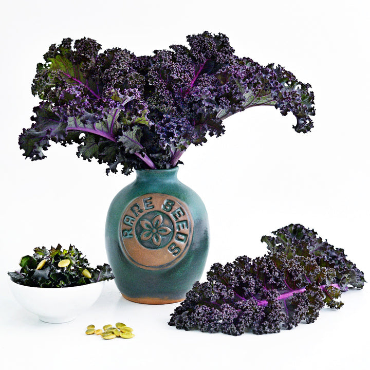 Purple kale arranged in an Handmade Stoneware Pottery Vase on a white background.