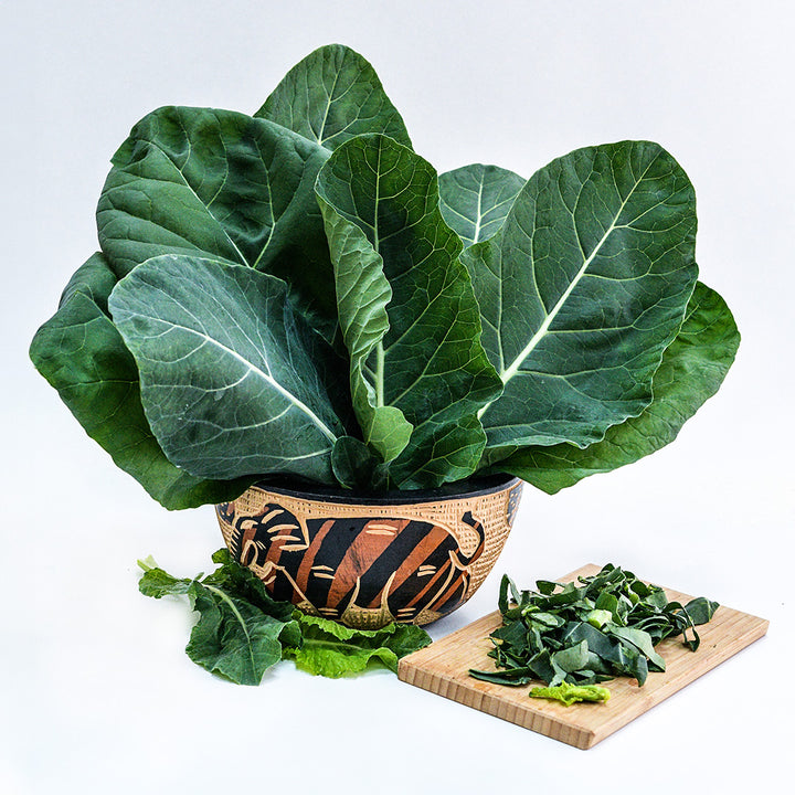 An arrangement of Sahara Kale leaves in a handmade African bowl on a white background.