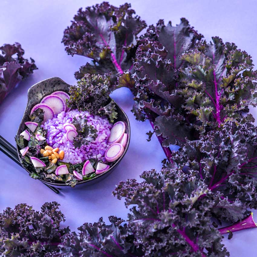 Scarlet Kale leaves surround a bowl of kale salad on a purple background.