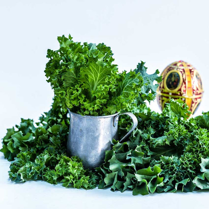 Dwarf Siberian Kale in a tin cup on a white background.