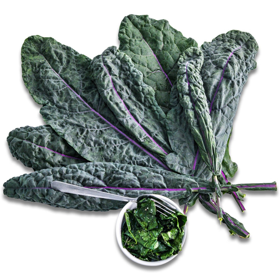 Dazzling blue kale leaves fanned out with a salad on a white background