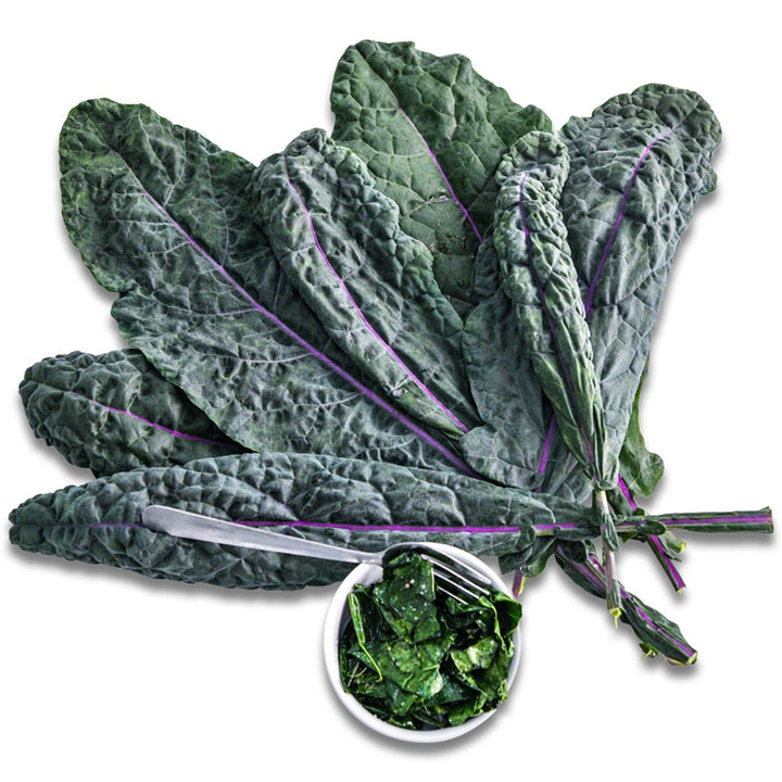 Dazzling blue kale leaves fanned out with a salad on a white background