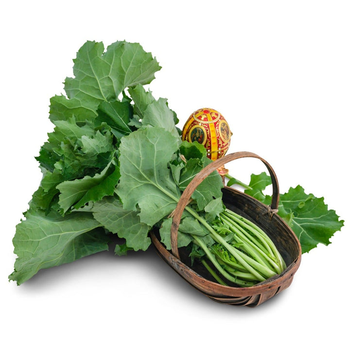 Head of Dwarf Siberian kale in a basket on a white background