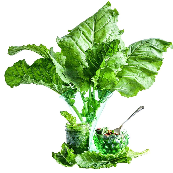 Thousandhead Kale in a glass vase with a smoothie on a white background.