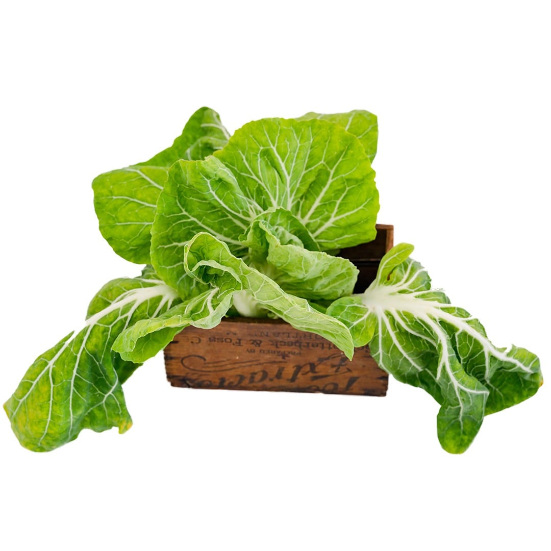 Tronchuda Kale in a wood box on a white background.