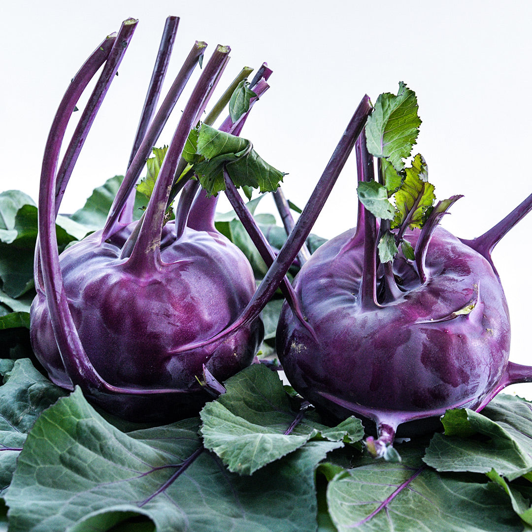 A pair of Azur Kohlrabi roots on a bed of kohlrabi leaves against a white background.